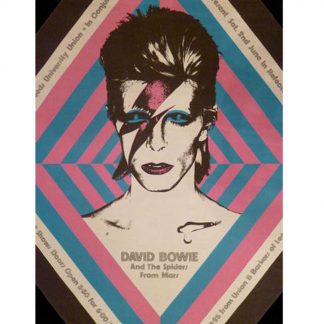 David Bowie English musician metal tin sign b12-David Bowie-24 Metal Sign Bowie