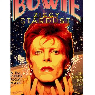 David Bowie English musician metal tin sign b12-David Bowie-18 Metal Sign Bowie