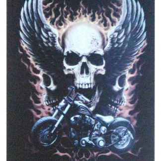 skull wing motorcycle tin metal sign 0967a Gas Oil Automotive metal door plaques