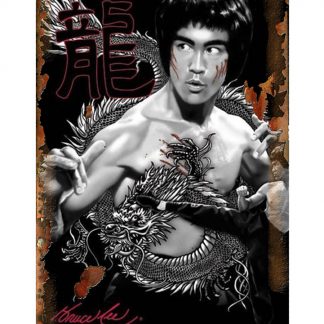 Bruce Lee Kongfu Star metal tin sign b38-___-1 Metal Sign Bruce Lee