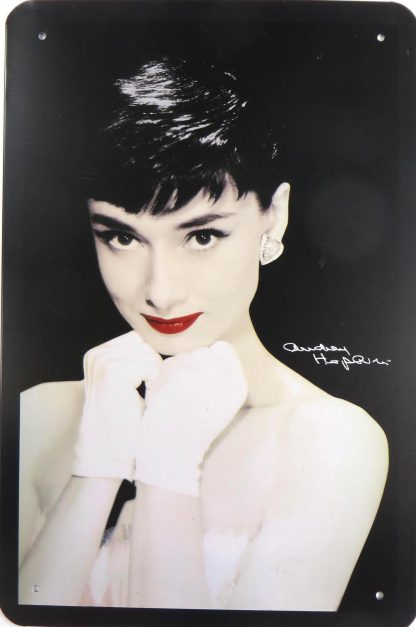 Audrey Hepburn tin sign bedroom  decor metalsign23-1 Metal Sign & decor