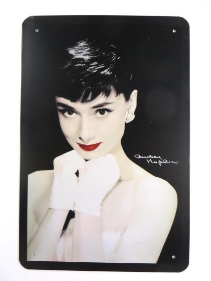 Audrey Hepburn tin sign bedroom  decor metalsign23-1 Metal Sign & decor